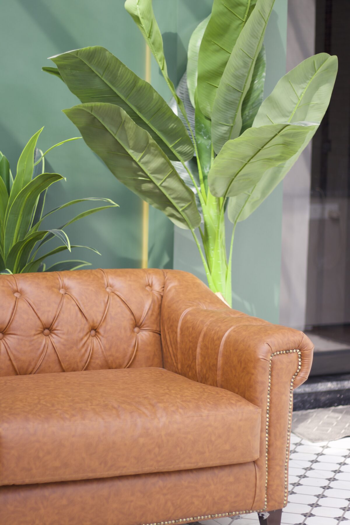 Leather sofa framed by tropical planting