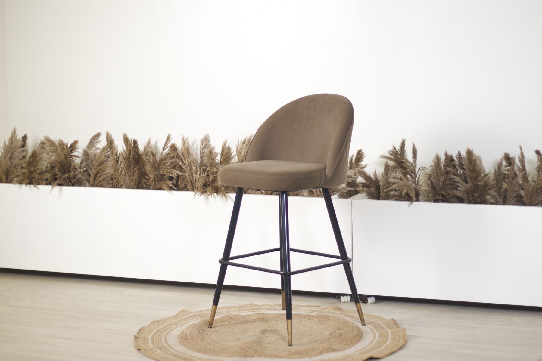 The Pampas Wall — soft neutrals and organic textures